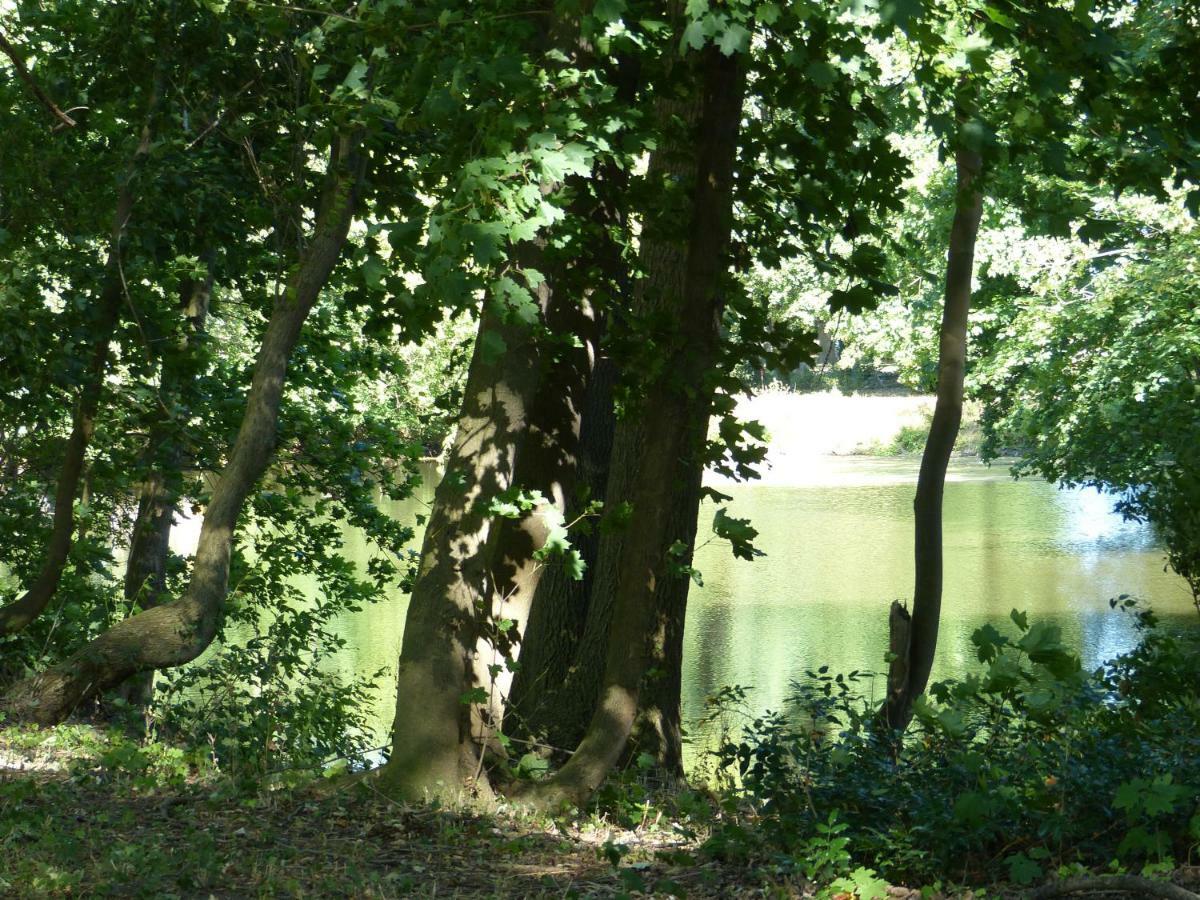 Ferienwohnung Mit Brockenblick Langenstein ภายนอก รูปภาพ