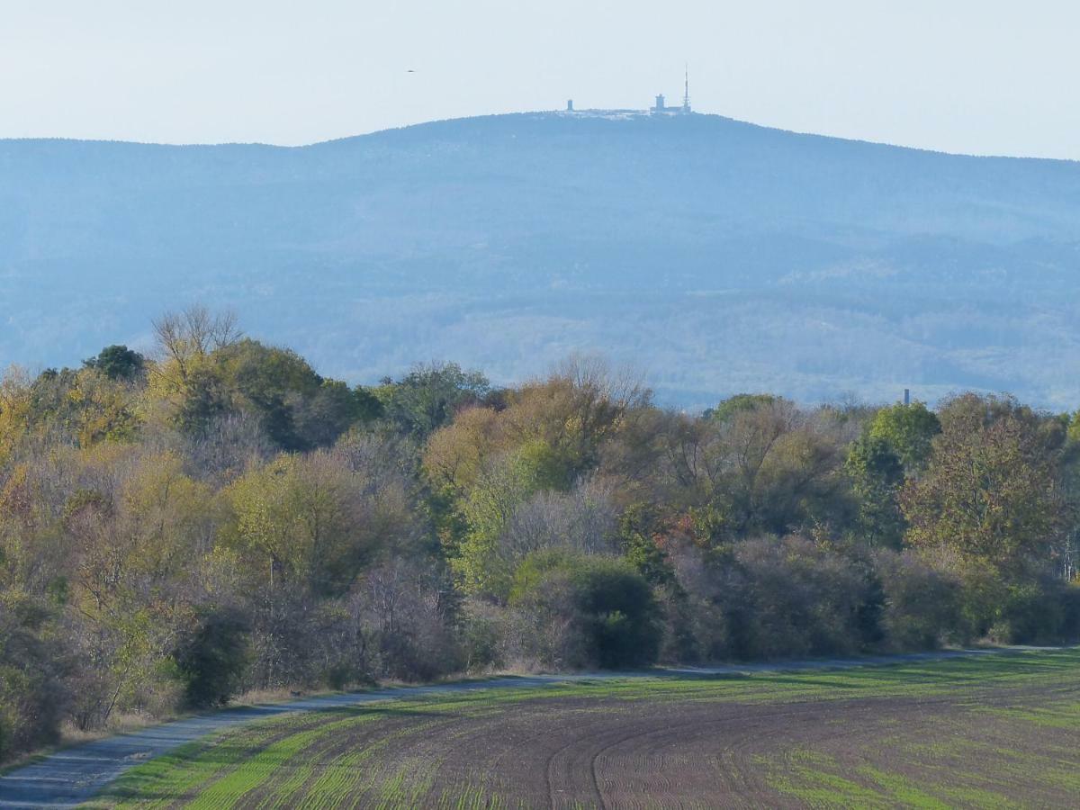 Ferienwohnung Mit Brockenblick Langenstein ภายนอก รูปภาพ